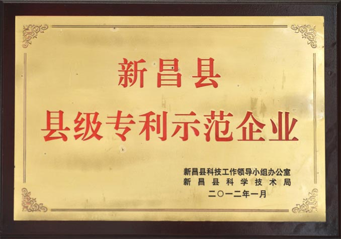 县级专利示范企业